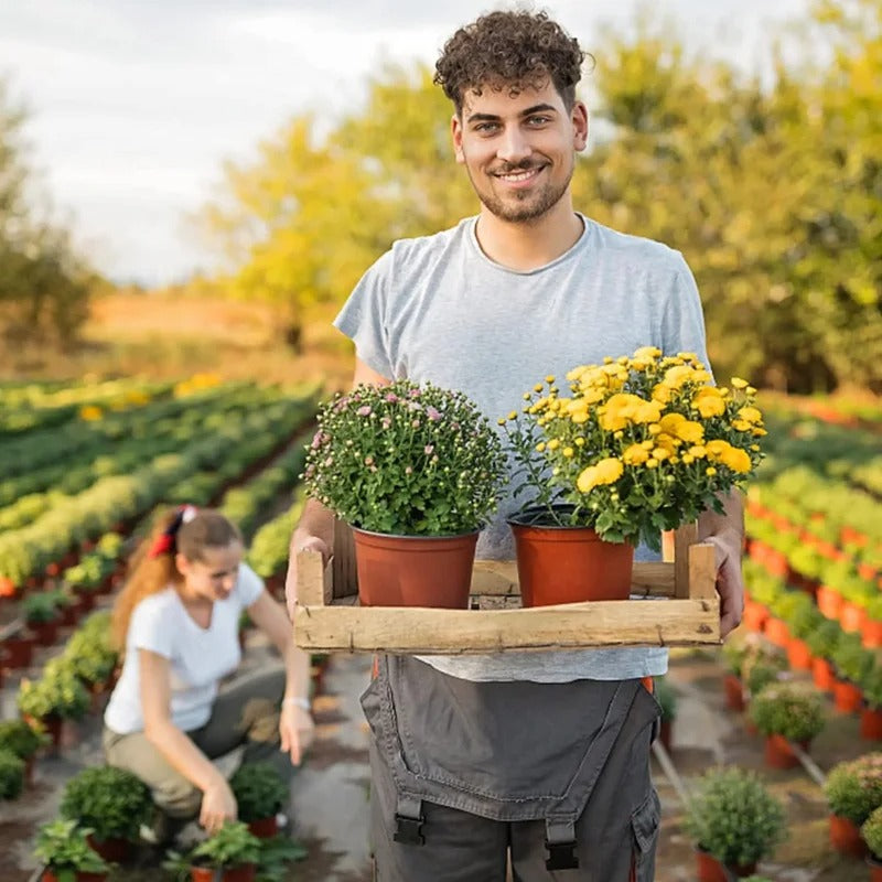 סט 75 יחידות צמחי גמיש לעציצים וזרעים